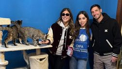 Politano cuore d’oro: ha adottato con la moglie due gatte salvate dalla strada – FOTO