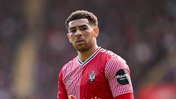 Adams al Toro, i tifosi del Southampton: “Sarà ricordato per i gol sbagliati”