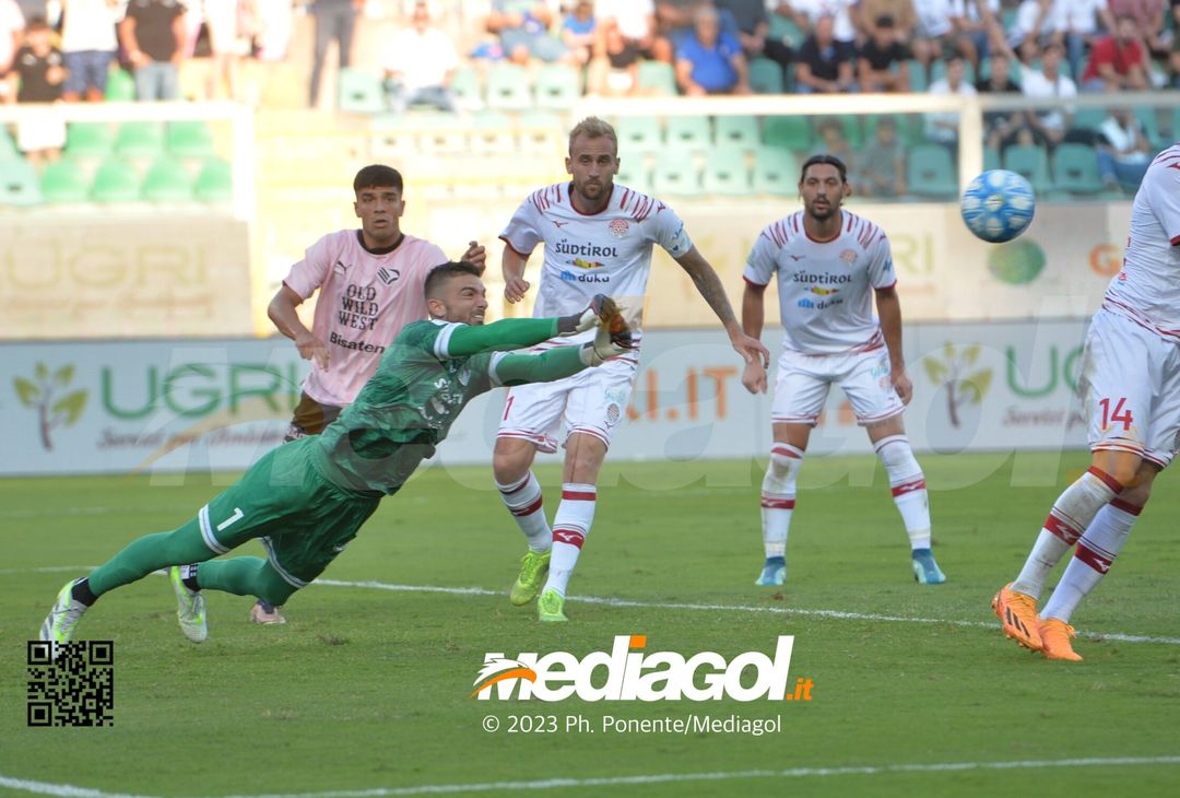 FOTO Palermo-Sudtirol 2-1, 8ª giornata Serie B 2023-2024 (GALLERY) - immagine 42