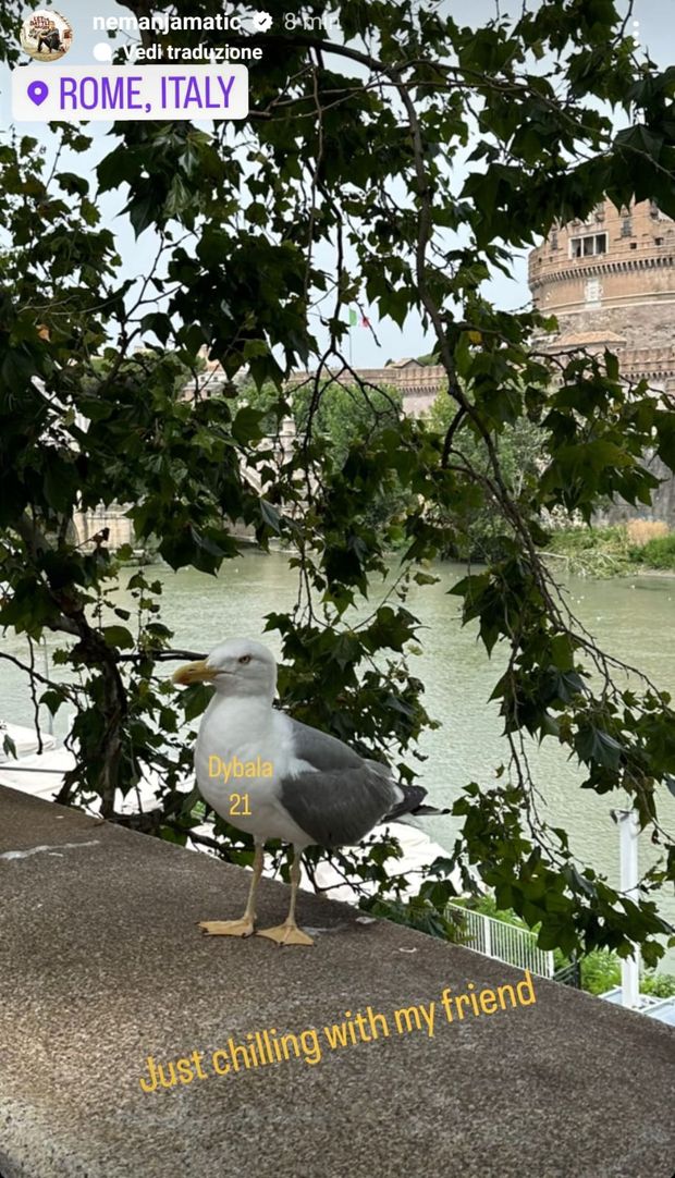 Matic si rilassa con “Dybala” ma è un gabbiano. L’esilarante scherzo del serbo- immagine 2