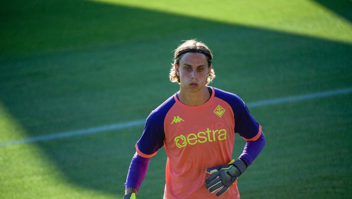 Martinelli Viola Park