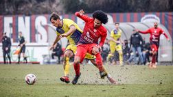 Serie D, domani si torna in campo per la venticinquesima giornata. Spicca il big match Treviso-Adriese