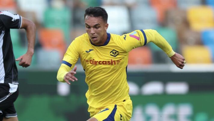 Da Giovane e Sarr a Frese e Bradaric: tutto sulla probabile formazione del Verona - immagine 1