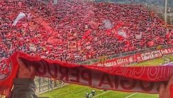 Perugia, Formisano pre derby: “Gubbio? Solido e forte”