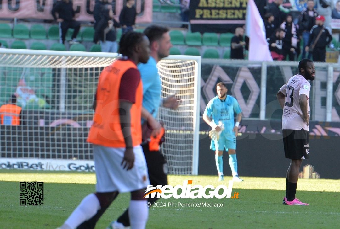 FOTO Palermo-Reggiana, 35ª giornata Serie B 2023-2024 (GALLERY) - immagine 57