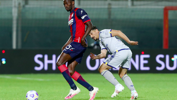 Pagelle, brutto  Verona, in pochi rispondono - immagine 1