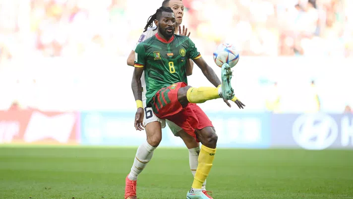 Anguissa Camerun