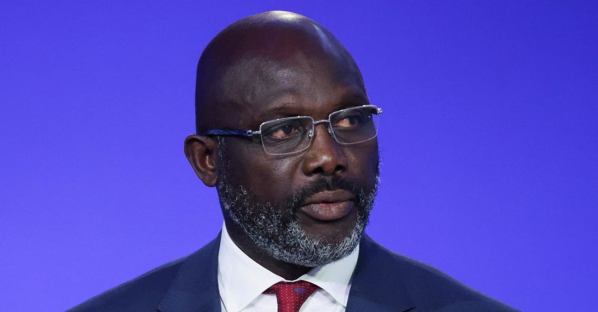 weah non ha dubbi il milan torner224 ad essere un grande club seve pazienza non nascono tutti lamine yamal da Pianetamilan.it weah non ha dubbi il milan torner224 ad essere un grande club seve pazienza non nascono tutti lamine yamal