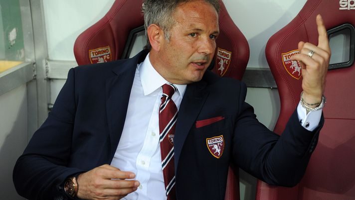 Toro, aspettando la sessione di mercato perfetta - immagine 1