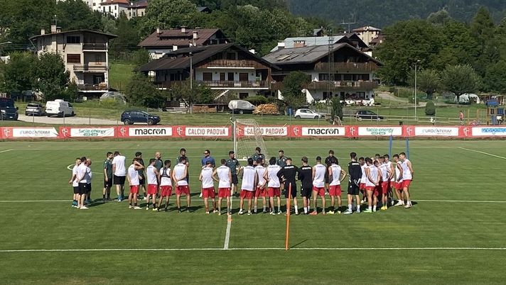 Mercato Padova, il punto: tante richieste (respinte). Brilla una stellina a Pieve. Solo due in uscita - immagine 1