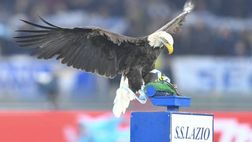 Lazio: l’aquila Olimpia torna a volare