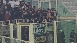 Rissa tra ultras del Napoli al Franchi: i commenti dei tifosi fiorentini