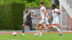 Campodarsego in finale playoff, battuta la Dolomiti Bellunesi