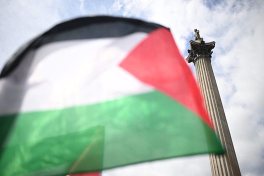 La bandiera palestinese (Photo by Leon Neal/Getty Images) Argentina, stangata per All Boys, Colon e Mitre dopo gli incidenti di giugno- immagine 2