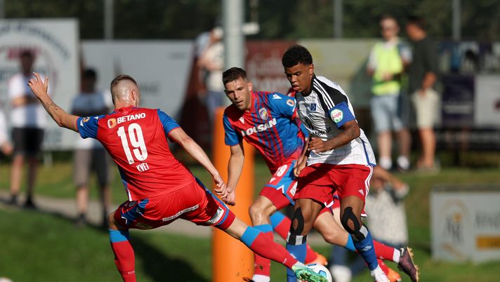 Viktoria Plzen, Hranac all’erta: “Mi aspetto una Fiorentina più motivata” - immagine 1