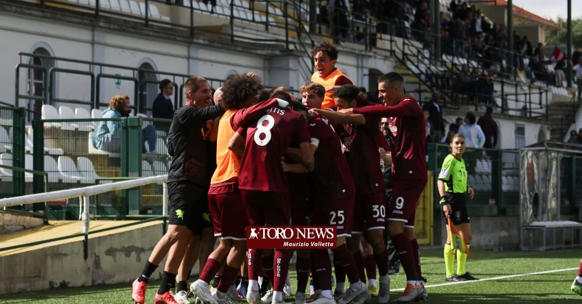 Torino, l'elenco degli errori arbitrali a sfavore nella stagione 2023/2024  - Toro News