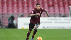 Calciomercato: Napoli su Mazzocchi, Zanoli ad un passo dal Genoa