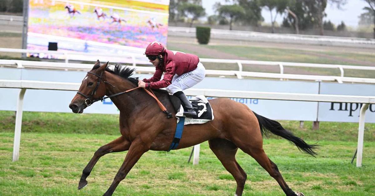 Milan, Allegri trionfa all’Ippodromo Campanelle: Star of Life vince il Criterium Femminile Milan, Allegri trionfa all’Ippodromo Campanelle: Star of Life vince il Criterium Femminile