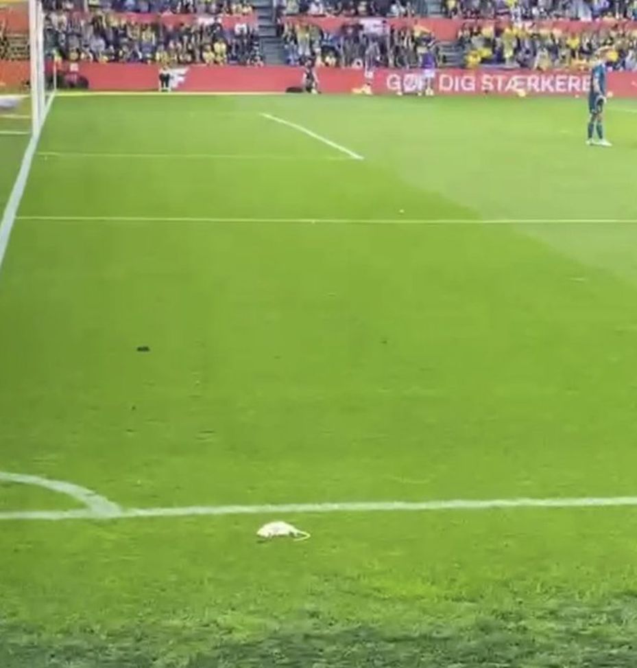 Derby di Copenaghen, i tifosi lanciano topi morti in campo: lo avevano già fatto nel 2017- immagine 2