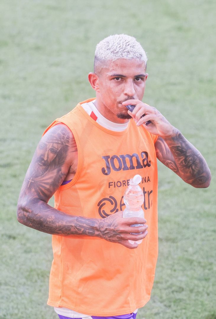 GERMOGLI PH: 13 LUGLIO 2026 BAGNO A RIPOLI VIOLA PARK PRIMO ALLENAMENTO DELLA FIORENTINA CON L' ALLENATORE GROSSO Dodo