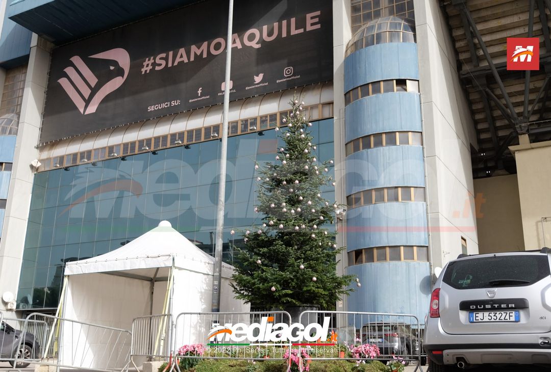 FOTO PALERMO, albero di Natale allo Stadio ‘Renzo Barbera’ (Gallery) - immagine 3