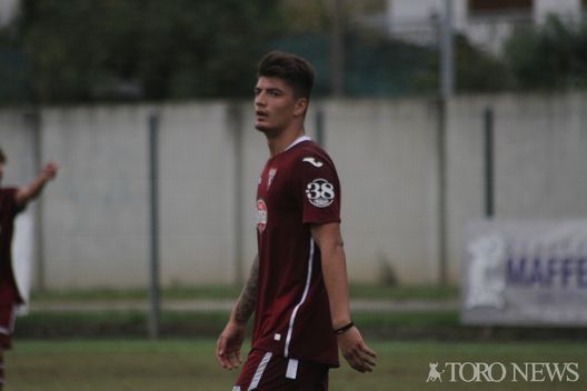 Cancello Torino Primaera