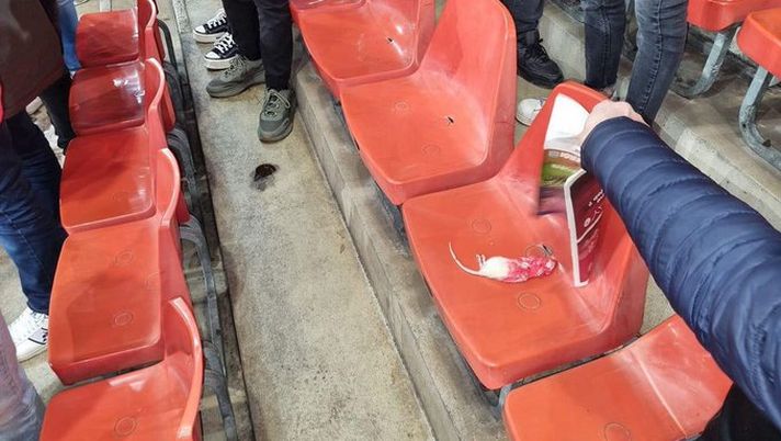 Derby vallone, tifosi contingentati: trasferta a Liegi, numero chiuso da Charleroi - immagine 1