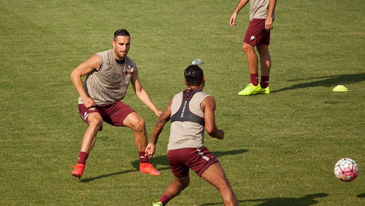 Torino, Maksimovic e Martinez tornano in gruppo Torino, Maksimovic e Martinez tornano in gruppo - immagine 1