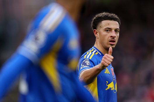 Premier League, squalificato per 3 anni il tifoso del Sunderland che aveva insultato Ampadu e Ramazani- immagine 2