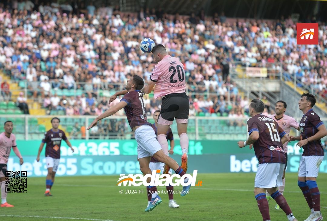 FOTO Palermo-Reggiana Serie B 2024/25 - immagine 24