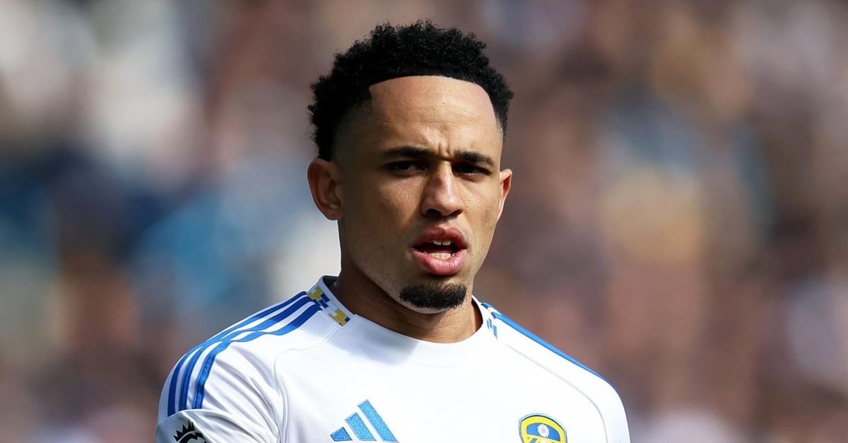 milan ceduto in premier per 20 milioni okafor vale gi224 di pi249 ecco la sua stagione da Pianetamilan.it milan ceduto in premier per 20 milioni okafor vale gi224 di pi249 ecco la sua stagione