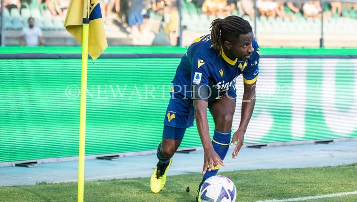 Bologna-Verona, le formazioni ufficiali. Ceccherini out, c’è Coppola Bologna-Verona, le formazioni ufficiali. Ceccherini out, c’è Coppola - immagine 1