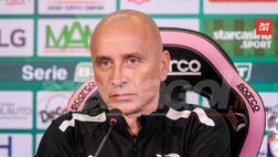 Palermo, verso la Cremonese: emergenza difesa e voglia di stupire. Scelte Corini…