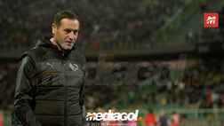SONDAGGIO Calciomercato Palermo: qual è l’acquisto top della sessione invernale?