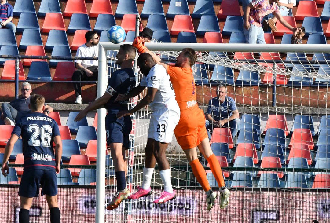 FOTO Cosenza-Palermo 1-1, 33ª giornata Serie B 2023-2024 (GALLERY) - immagine 19