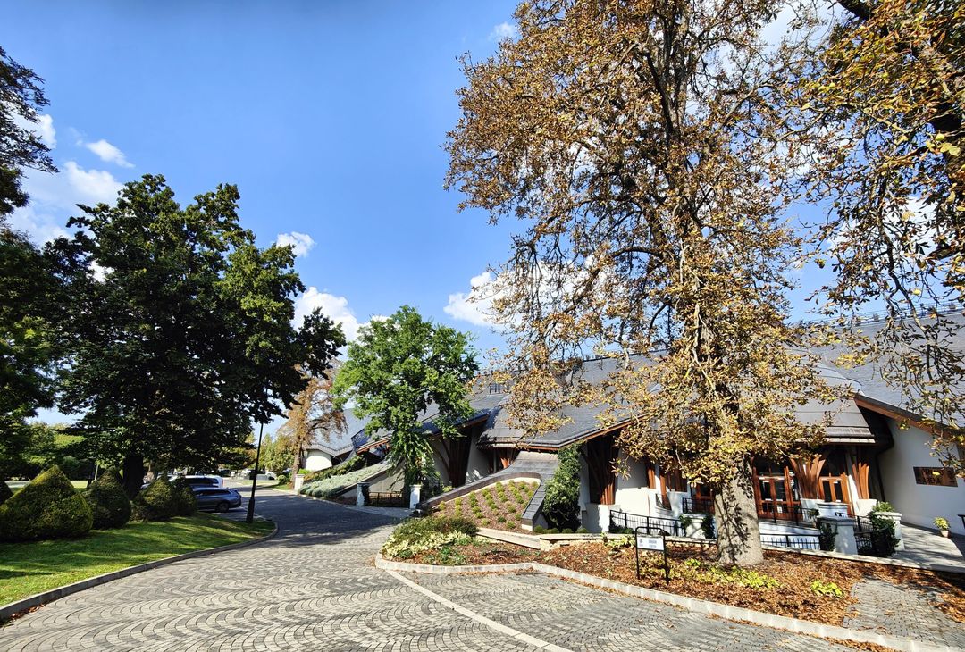 GALLERY – Le immagini del quartier generale della Puskas Akademia - immagine 5