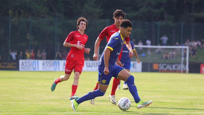 Ufficiale, Tavsan al Cesena - immagine 1