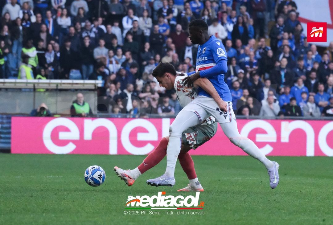 FOTO Sampdoria – Palermo | Serie B 2024 - immagine 11