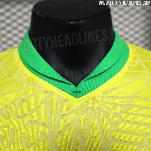 Finiture verdi sul collo: ecco la nuova maglia del Brasile per la Copa America 2024- immagine 3