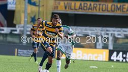 Verona a Bologna, le formazioni ufficiali
