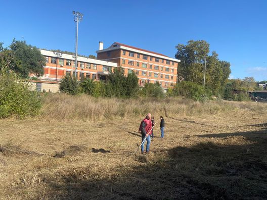 Inizia la pulizia di Campo Testaccio: presenti la Roma e alcuni tifosi- immagine 2