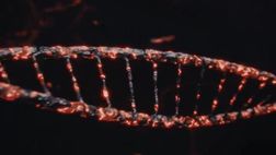 Milan, la data di presentazione della nuova prima maglia 2024-2025 | VIDEO