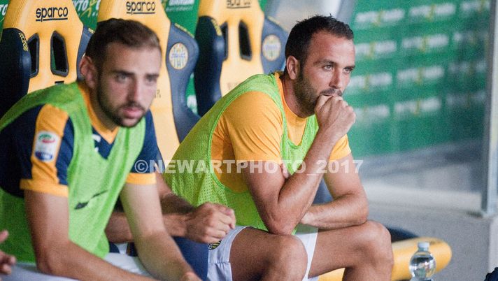 Torino-Verona, le formazioni ufficiali - immagine 1