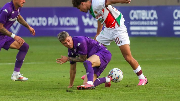 Fiorentina-Montpellier la probabile formazione viola. Esordio per Colpani? - immagine 1