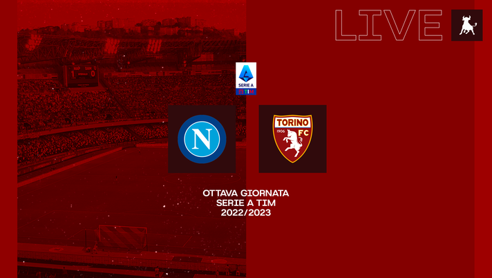 FINALE! Napoli-Torino 3-1 - immagine 1