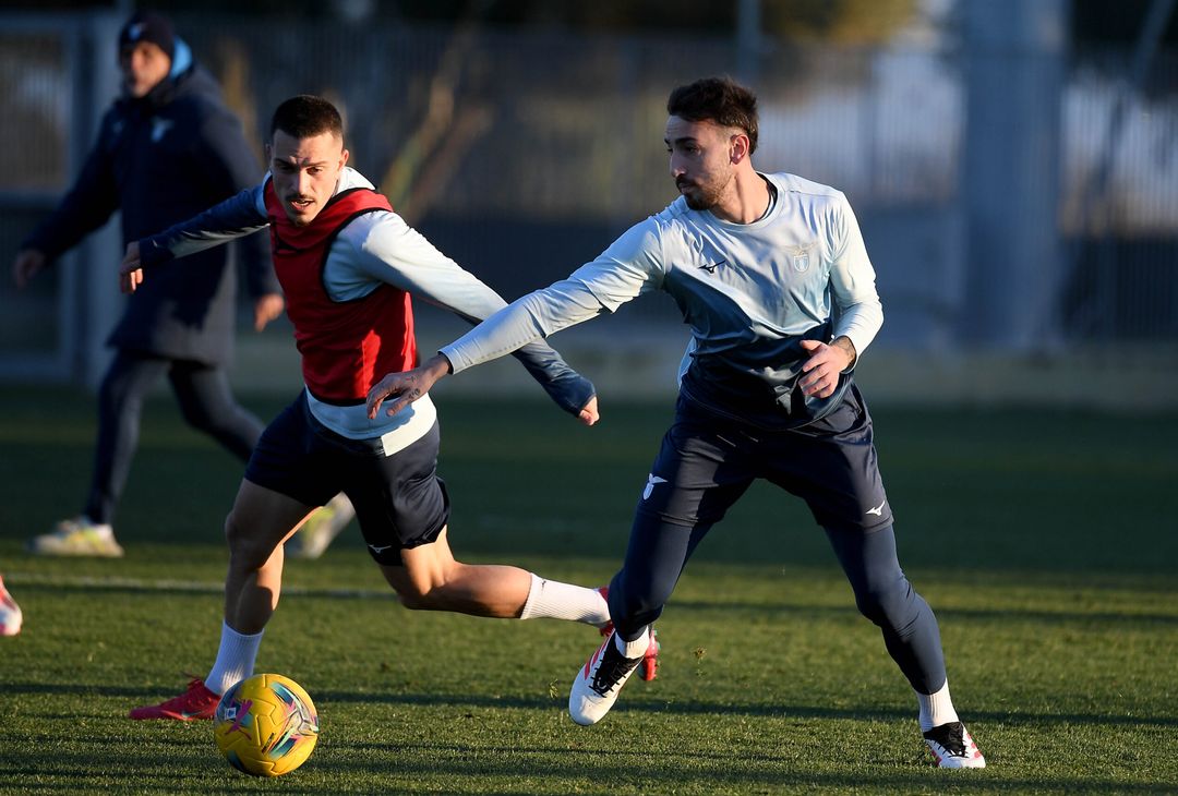 Ibrahimovic e Castrovilli