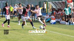 Bologna-Genoa 1-1: De Silvestri al fotofinish salva Thiago Motta. Beffato Gilardino