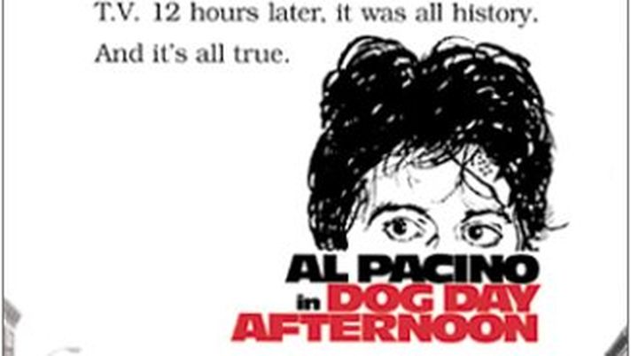 Quel pomeriggio di un giorno da cani - immagine 1