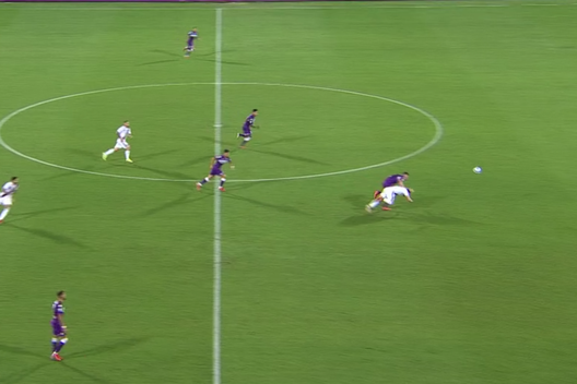 Fiorentina-Torino 2-1, la moviola: Milenkovic rischia il rosso, e su Linetty…- immagine 2