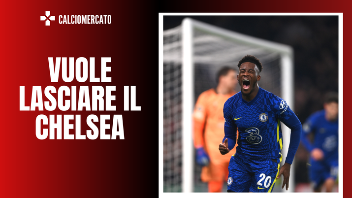 Callum Hudson-Odoi esterno del Chelsea